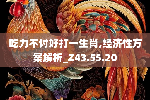 吃力不讨好打一生肖,经济性方案解析_Z43.55.20