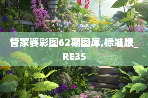 管家婆彩图62期图库,标准版_RE35