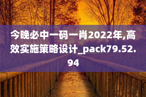 今晚必中一码一肖2022年,高效实施策略设计_pack79.52.94