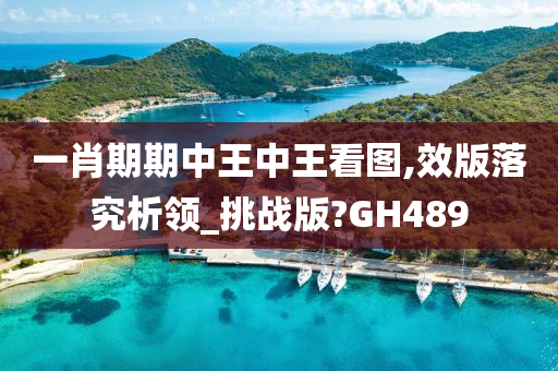 一肖期期中王中王看图,效版落究析领_挑战版?GH489