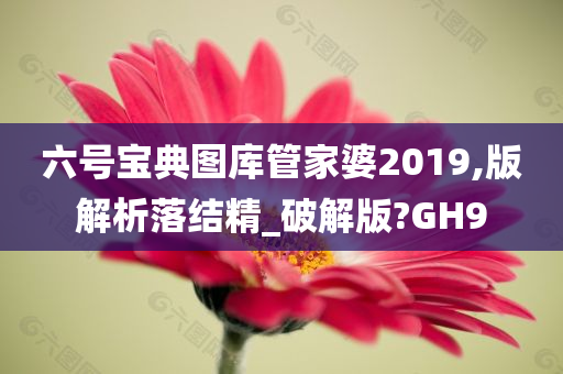 六号宝典图库管家婆2019,版解析落结精_破解版?GH9