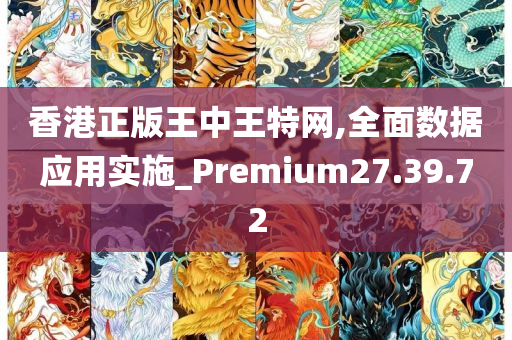 香港正版王中王特网,全面数据应用实施_Premium27.39.72