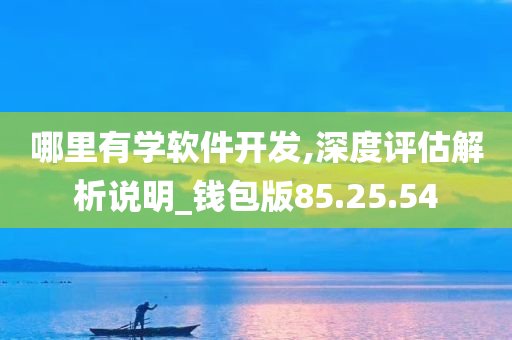 哪里有学软件开发,深度评估解析说明_钱包版85.25.54