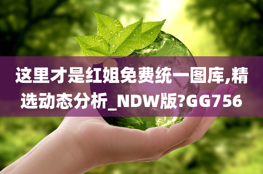 这里才是红姐免费统一图库,精选动态分析_NDW版?GG756