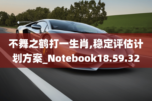 不舞之鹤打一生肖,稳定评估计划方案_Notebook18.59.32