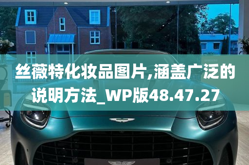 丝薇特化妆品图片,涵盖广泛的说明方法_WP版48.47.27