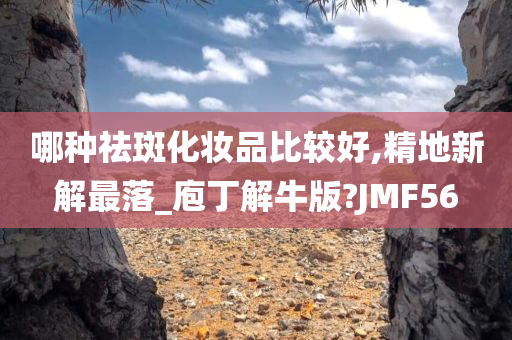 哪种祛斑化妆品比较好,精地新解最落_庖丁解牛版?JMF56