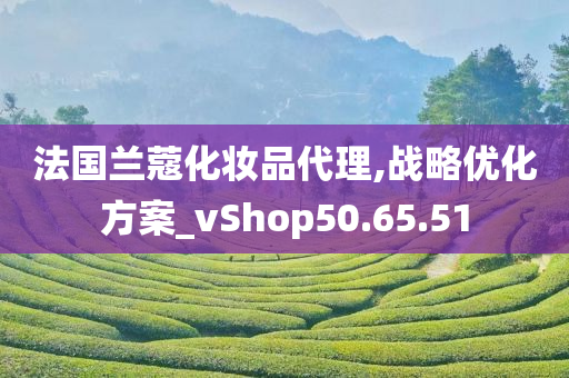 法国兰蔻化妆品代理,战略优化方案_vShop50.65.51