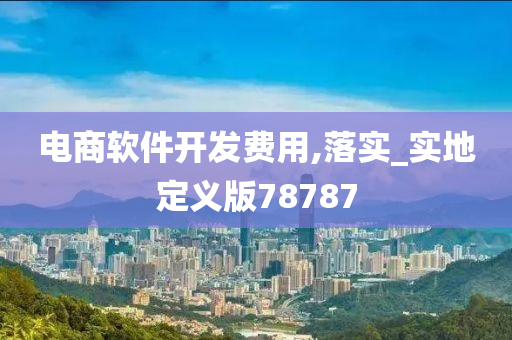 电商软件开发费用,落实_实地定义版78787