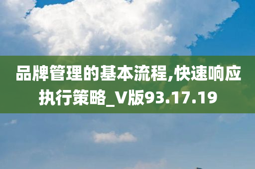 品牌管理的基本流程,快速响应执行策略_V版93.17.19