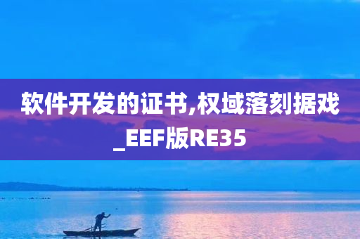 软件开发的证书,权域落刻据戏_EEF版RE35