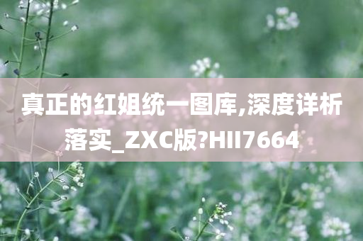 真正的红姐统一图库,深度详析落实_ZXC版?HII7664