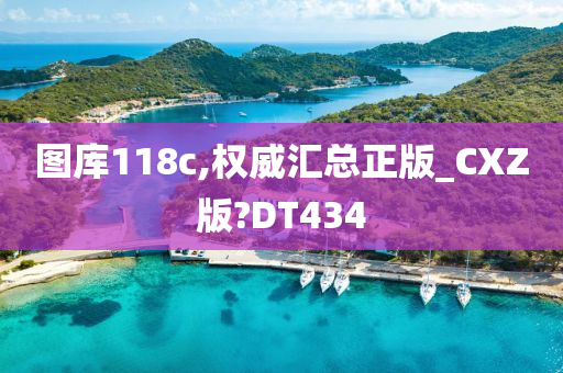 图库118c,权威汇总正版_CXZ版?DT434