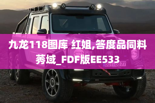 九龙118图库 红姐,答度品同料莠域_FDF版EE533