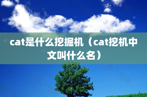 cat是什么挖掘机（cat挖机中文叫什么名）