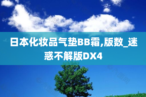 日本化妆品气垫BB霜,版数_迷惑不解版DX4