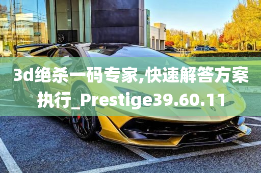 3d绝杀一码专家,快速解答方案执行_Prestige39.60.11