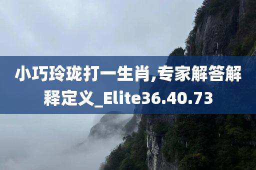 小巧玲珑打一生肖,专家解答解释定义_Elite36.40.73