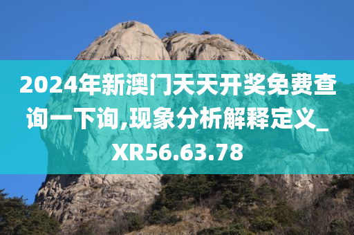 2024年新澳门天天开奖免费查询一下询,现象分析解释定义_XR56.63.78