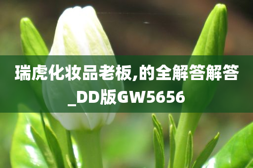 瑞虎化妆品老板,的全解答解答_DD版GW5656