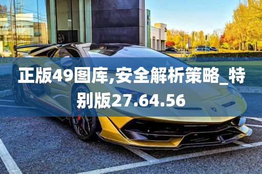 正版49图库,安全解析策略_特别版27.64.56