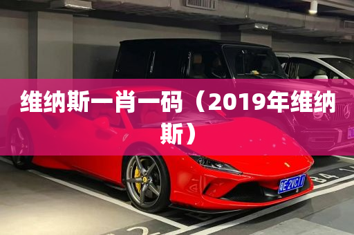 维纳斯一肖一码（2019年维纳斯）