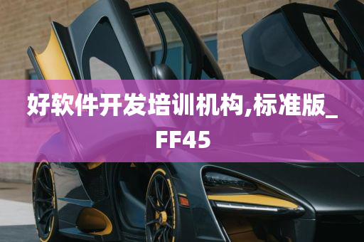 好软件开发培训机构,标准版_FF45