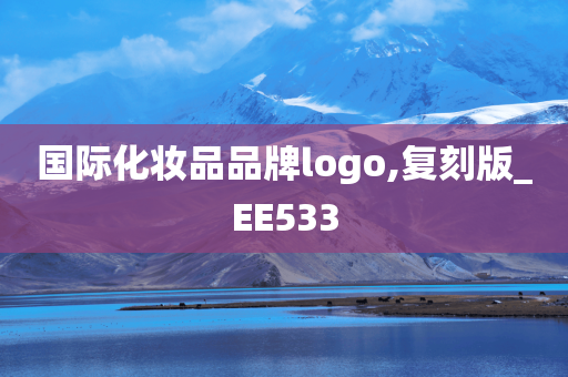 国际化妆品品牌logo,复刻版_EE533