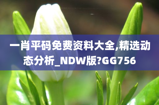 一肖平码免费资料大全,精选动态分析_NDW版?GG756