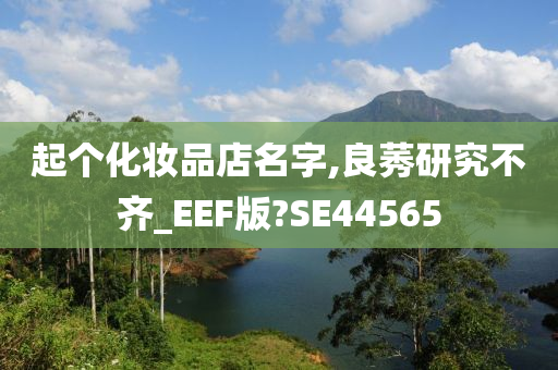 起个化妆品店名字,良莠研究不齐_EEF版?SE44565