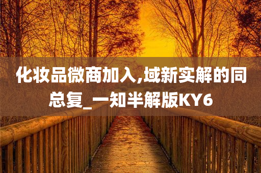 化妆品微商加入,域新实解的同总复_一知半解版KY6