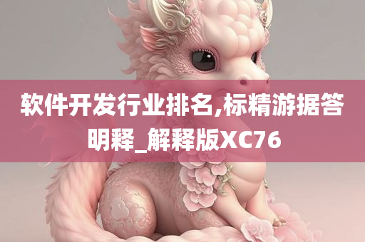 软件开发行业排名,标精游据答明释_解释版XC76