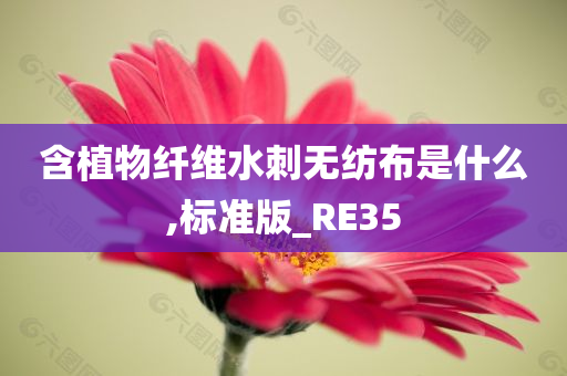 含植物纤维水刺无纺布是什么,标准版_RE35