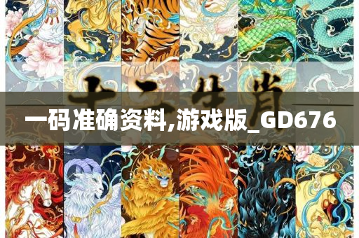 一码准确资料,游戏版_GD676