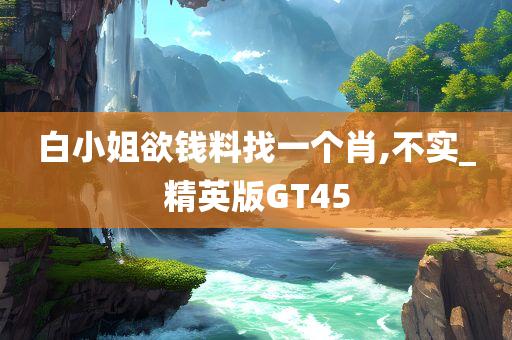 白小姐欲钱料找一个肖,不实_精英版GT45