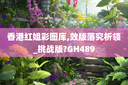 香港红姐彩图库,效版落究析领_挑战版?GH489