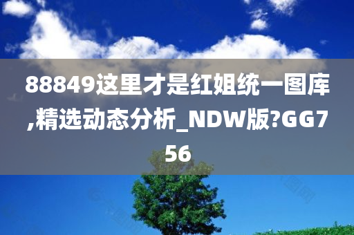 88849这里才是红姐统一图库,精选动态分析_NDW版?GG756