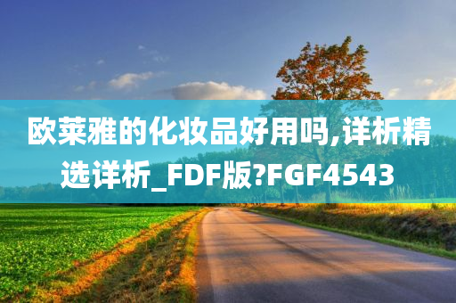 欧莱雅的化妆品好用吗,详析精选详析_FDF版?FGF4543