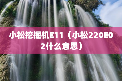 小松挖掘机E11（小松220E02什么意思）