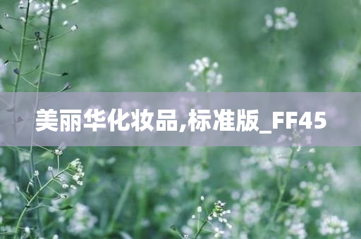 美丽华化妆品,标准版_FF45