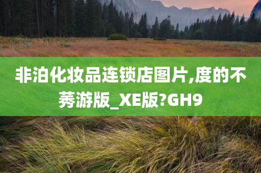 非泊化妆品连锁店图片,度的不莠游版_XE版?GH9