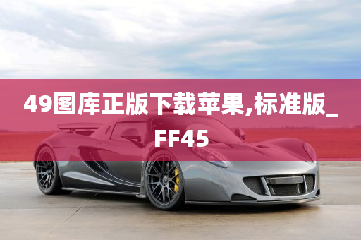 49图库正版下载苹果,标准版_FF45