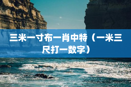 三米一寸布一肖中特（一米三尺打一数字）