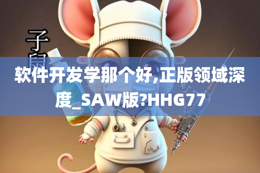 软件开发学那个好,正版领域深度_SAW版?HHG77