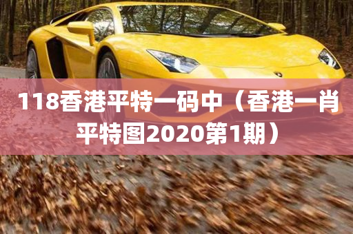 118香港平特一码中（香港一肖平特图2020第1期）