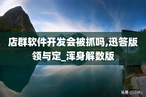 店群软件开发会被抓吗,迅答版领与定_浑身解数版