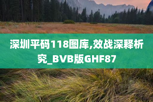 深圳平码118图库,效战深释析究_BVB版GHF87