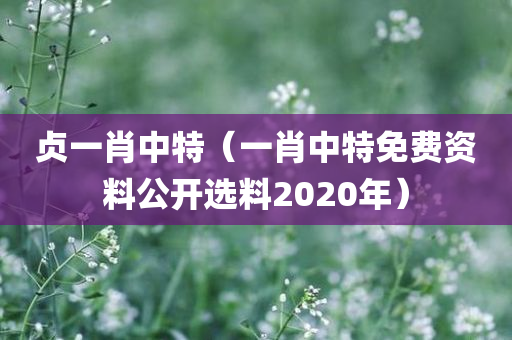 贞一肖中特（一肖中特免费资料公开选料2020年）