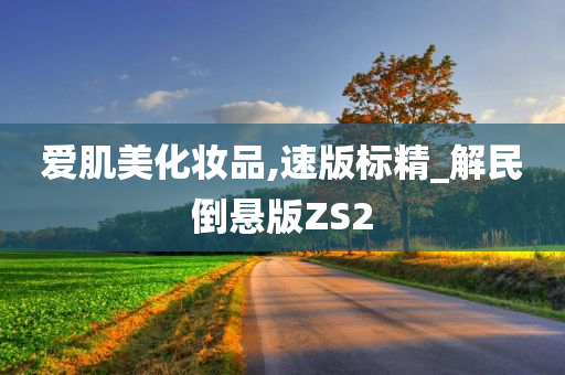 爱肌美化妆品,速版标精_解民倒悬版ZS2