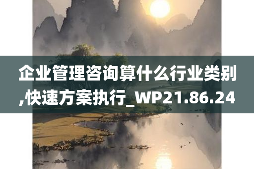 企业管理咨询算什么行业类别,快速方案执行_WP21.86.24